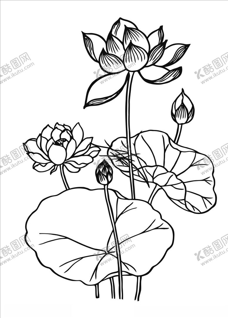 编号：36846510311603557652【酷图网】源文件下载-荷花