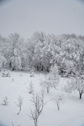  圣诞节雪景  