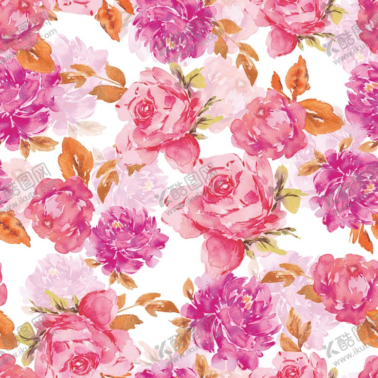 编号：67996009192126551158【酷图网】源文件下载-大朵牡丹