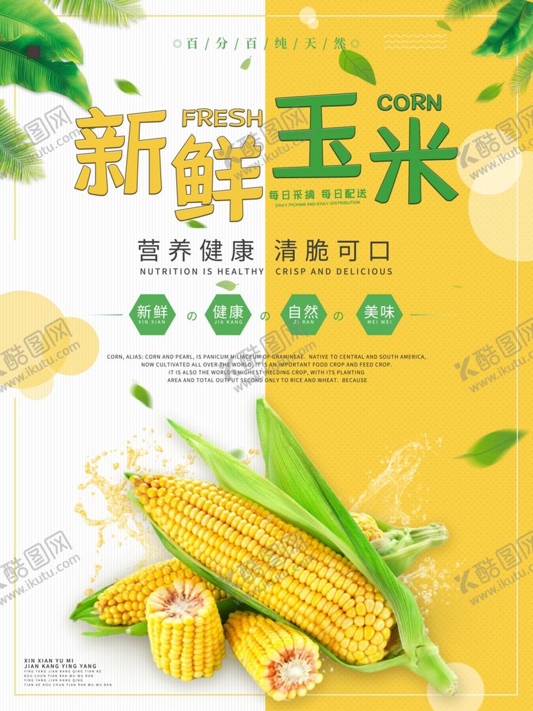 编号：30939501231956215476【酷图网】源文件下载-新鲜玉米