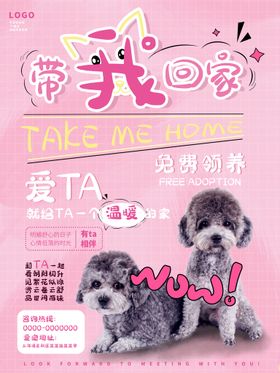 宠物寄养海报