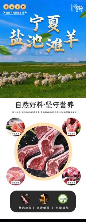 盐池滩羊