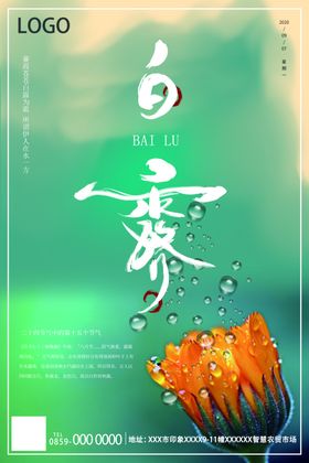 白露海报