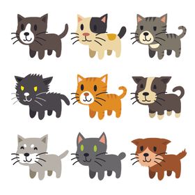 可爱小猫