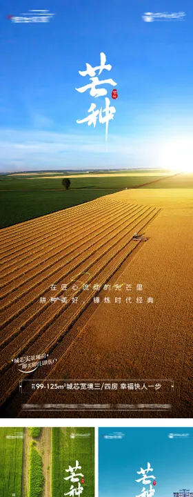 地产芒种麦穗稻田风景海报