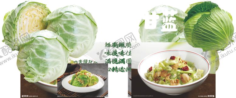 编号：89296202130047327587【酷图网】源文件下载-绿甘蓝