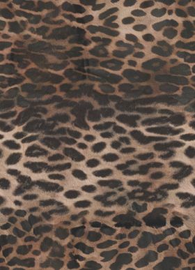 豹纹图案纹理背景