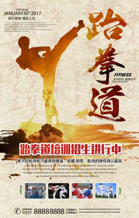 跆拳道海报