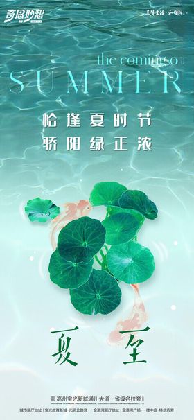 夏至节气海报荷花天地产蜻蜓