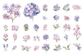 手绘橘色花卉图案集合