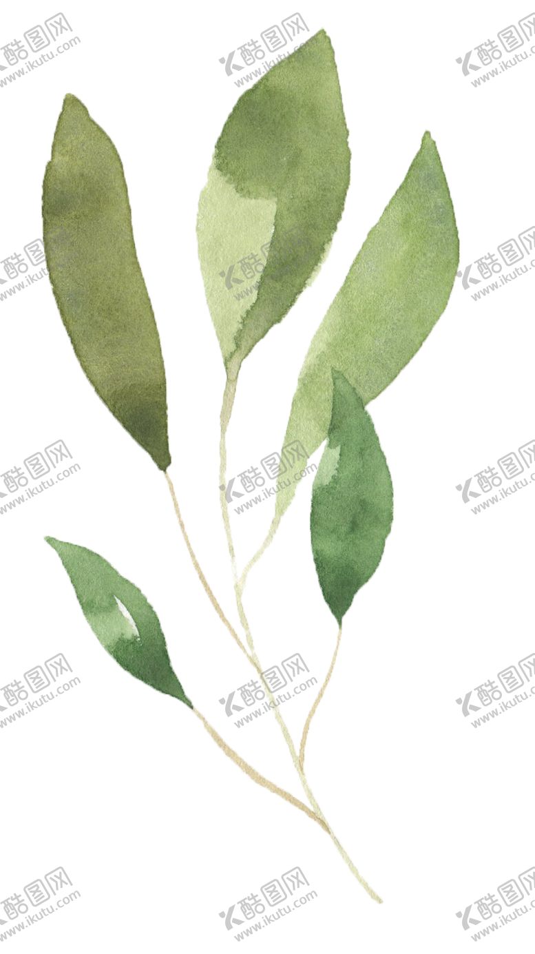 编号：81336105091601156465【酷图网】源文件下载-手绘植物花卉