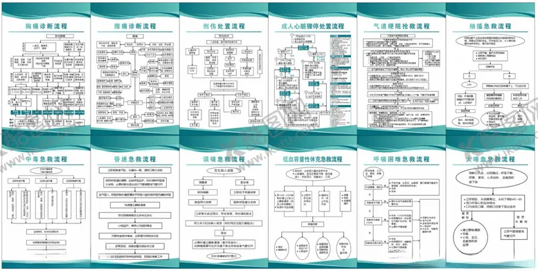 编号：43369402220426425104【酷图网】源文件下载-医生诊断流程处置抢救急救流程图
