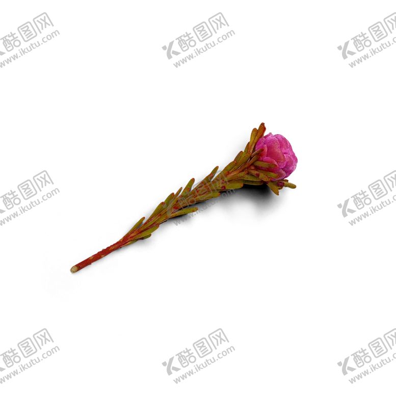 编号：56527909192252357232【酷图网】源文件下载-松针