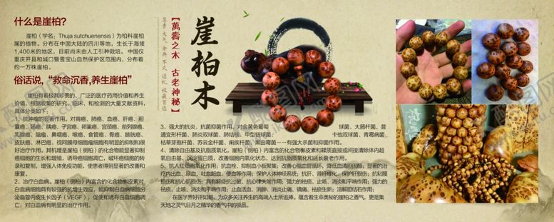 编号：95740510141652341876【酷图网】源文件下载-崖柏