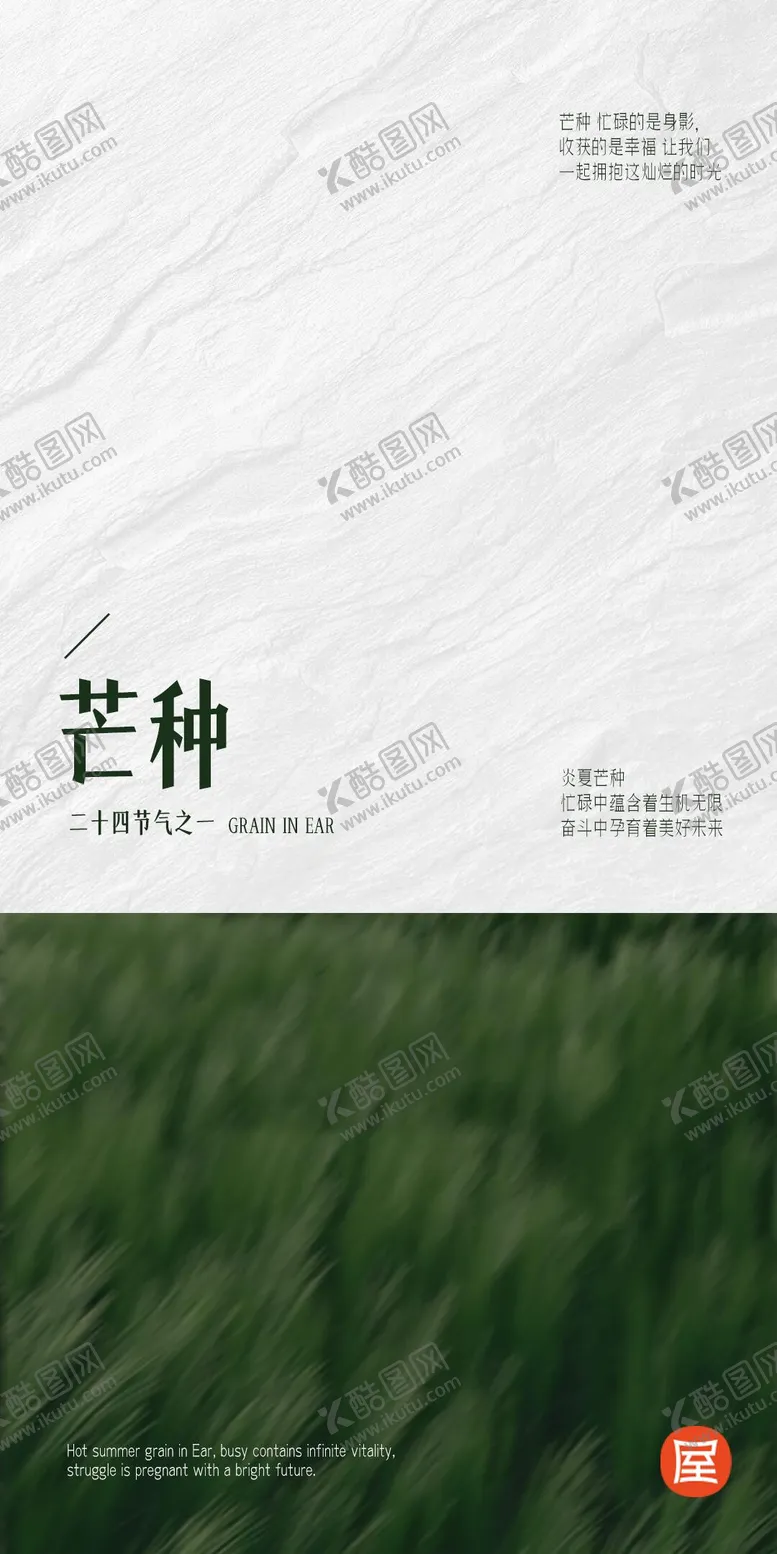 编号：10067306151912215681【酷图网】源文件下载-芒种节气海报