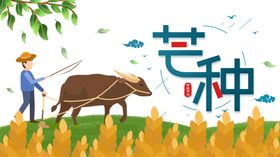 芒种