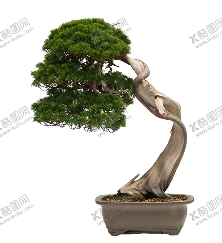 编号：92060209130548348313【酷图网】源文件下载-花艺