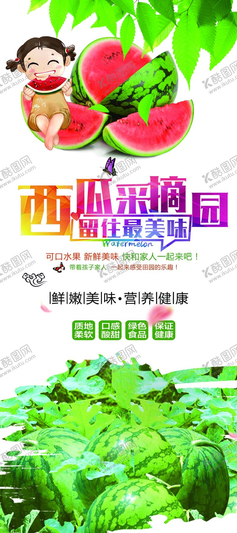 编号：02197409232156551583【酷图网】源文件下载-西瓜采摘