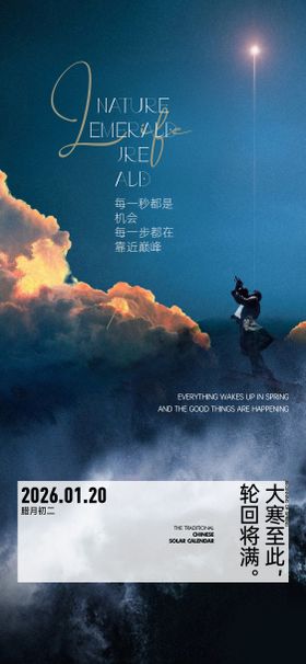 房地产大寒人物海报