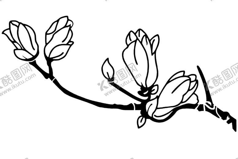 编号：63918210131426256062【酷图网】源文件下载-黑白简化花朵
