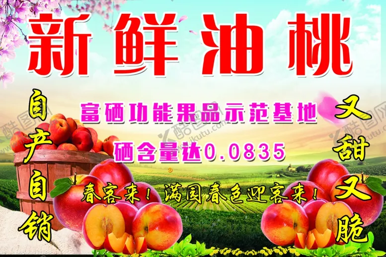 编号：50166606242220198058【酷图网】源文件下载-油桃