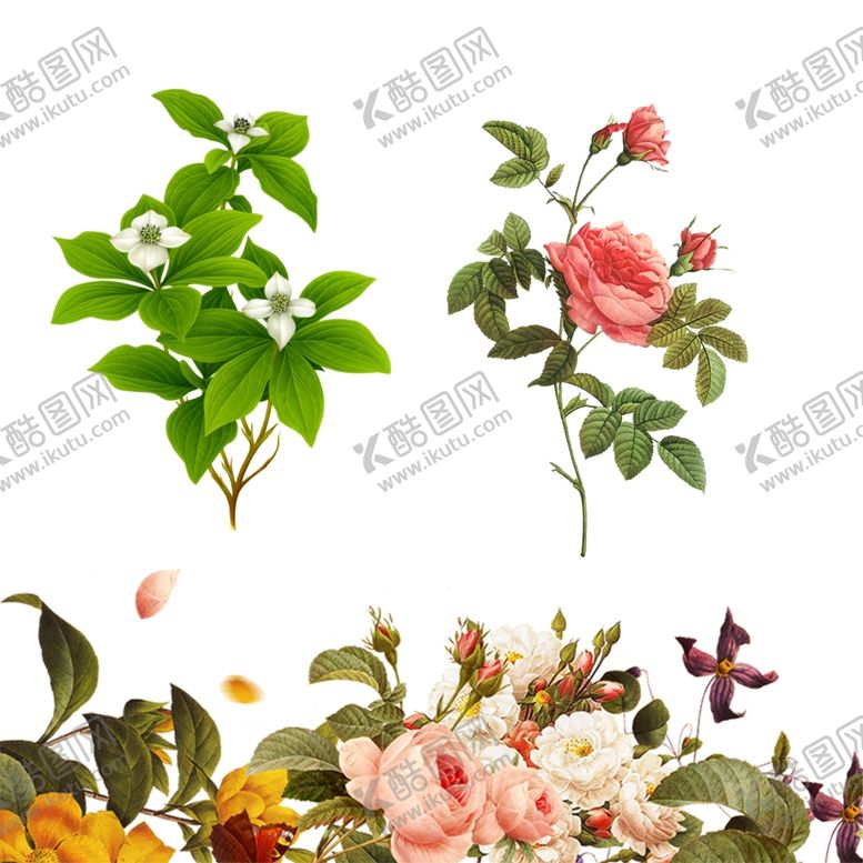 编号：21152309231953366903【酷图网】源文件下载-花朵花枝