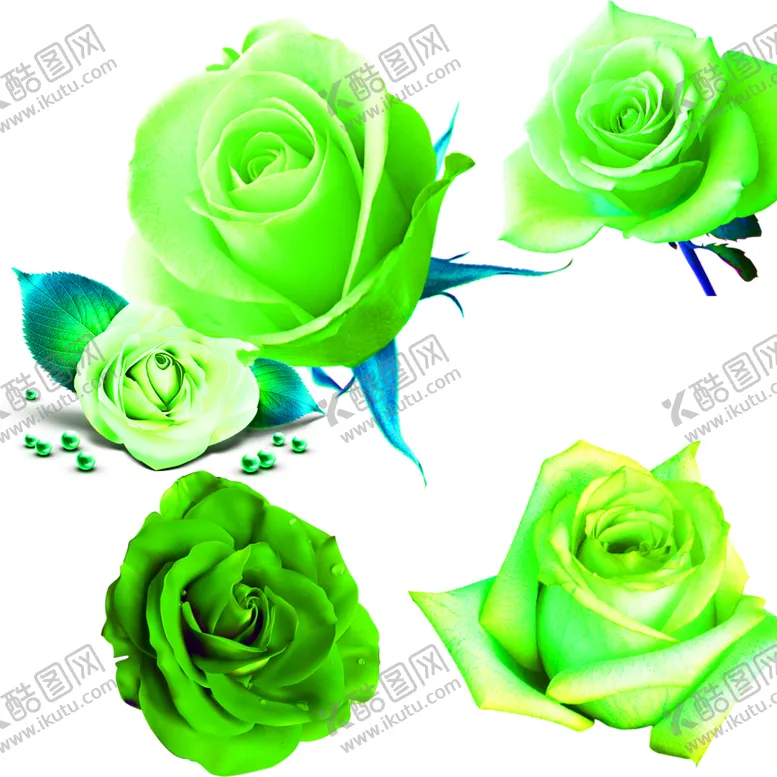 编号：89916407011450342674【酷图网】源文件下载-花素材