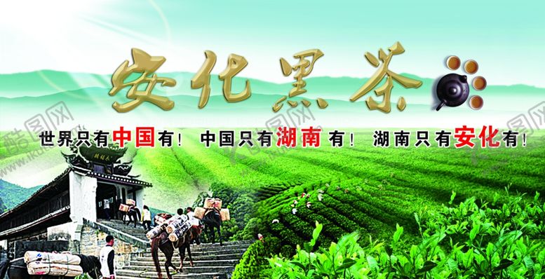 编号：11042607141255566844【酷图网】源文件下载-安化黑茶