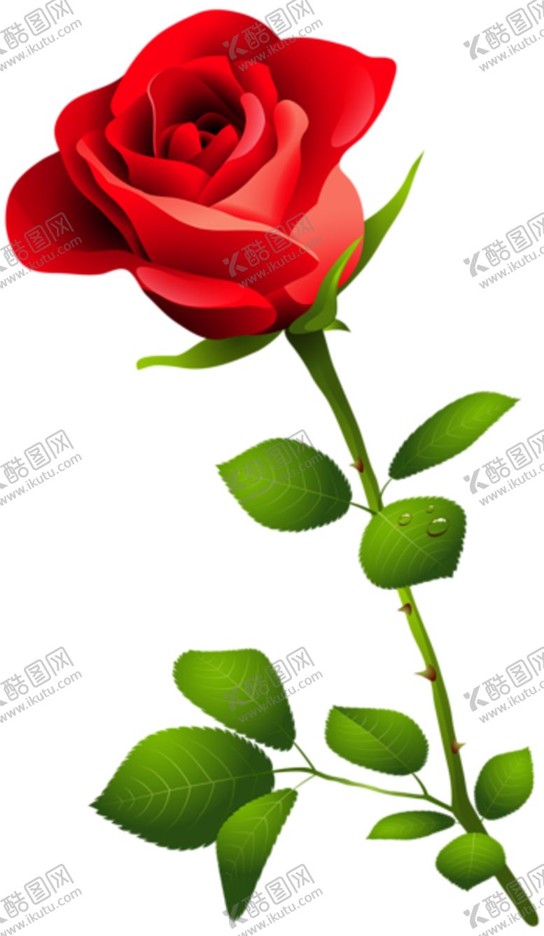编号：90122906281436206309【酷图网】源文件下载-红玫瑰