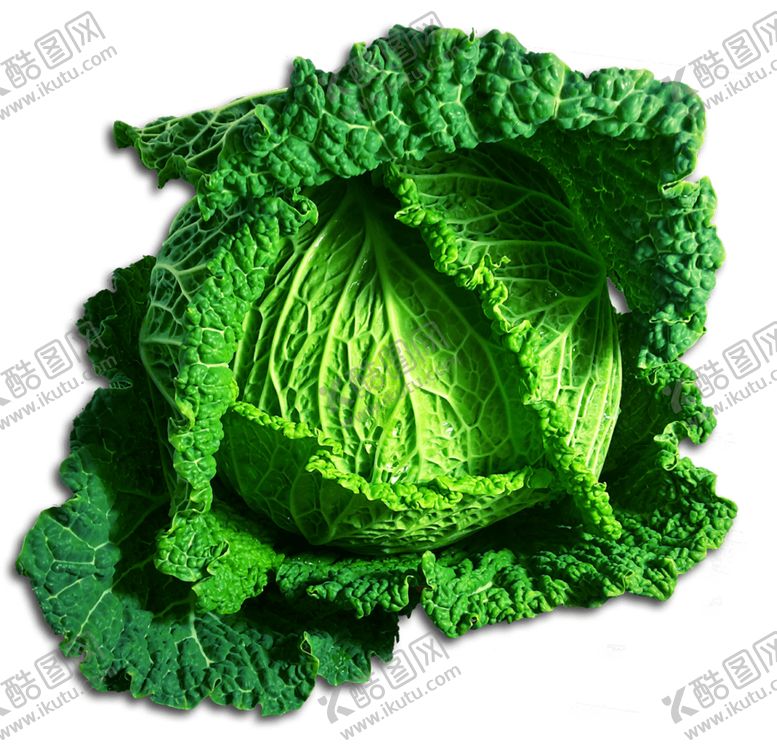 编号：59267709170224494307【酷图网】源文件下载-大白菜图片