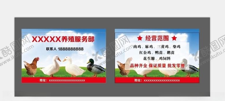 编号：87573409151239146773【酷图网】源文件下载-鸡鸭养殖名片