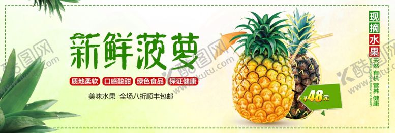 编号：48155810031930131265【酷图网】源文件下载-新鲜菠萝