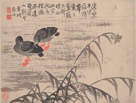 西芦葫