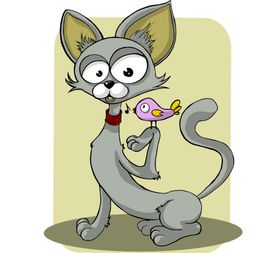 灰色的猫