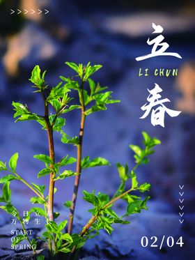 立春分手机海报分微信地产