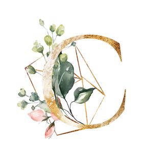 字母C