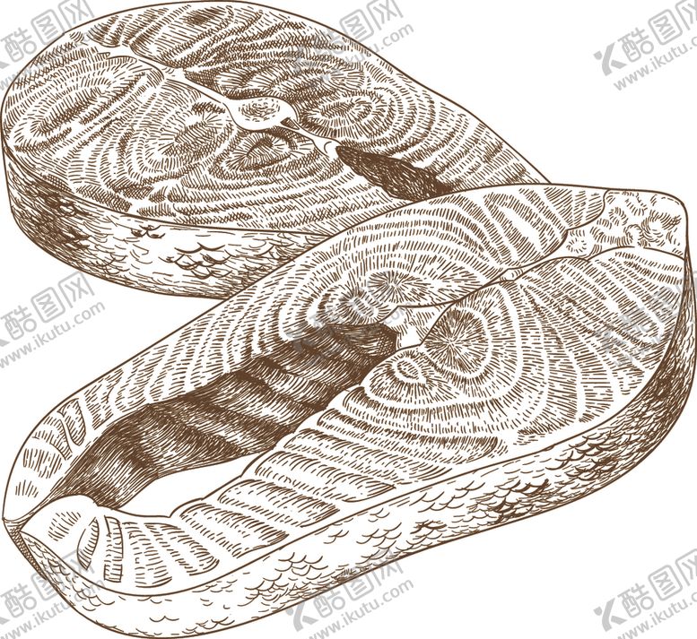 编号：42022709201323313904【酷图网】源文件下载-农作物素描