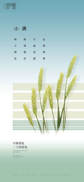 小满节气海报