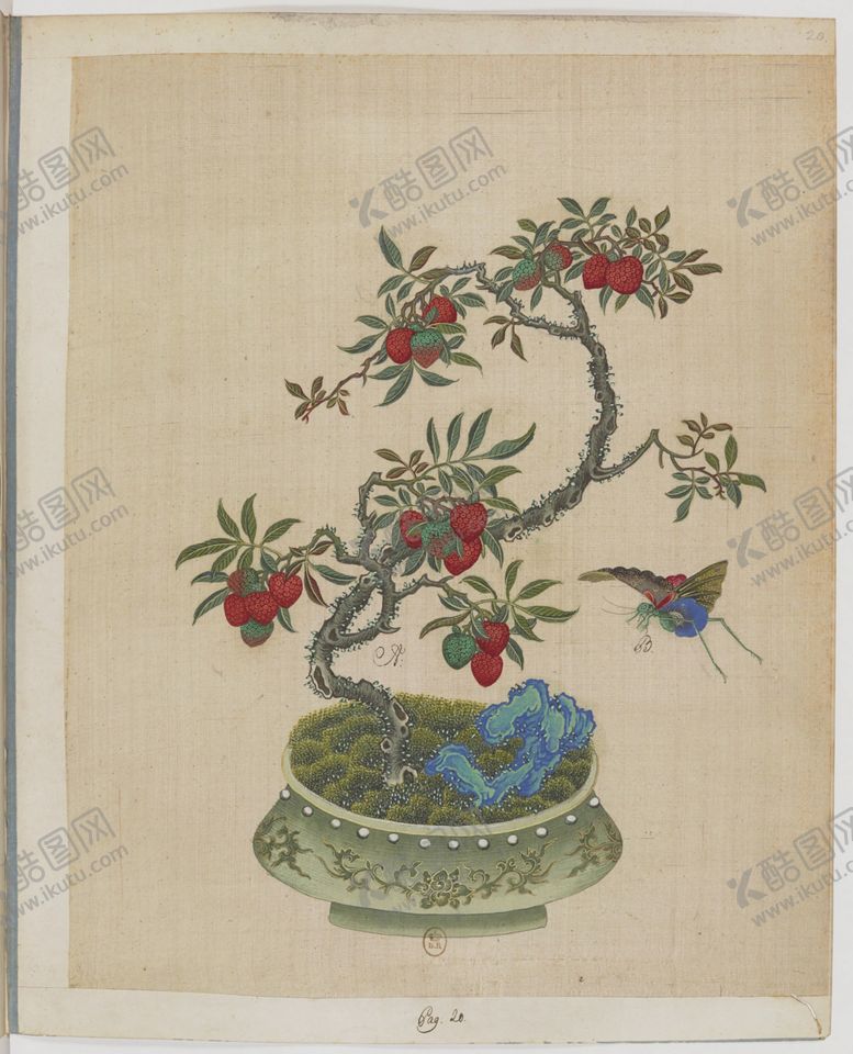 编号：55396903272020597404【酷图网】源文件下载-盆景花鸟