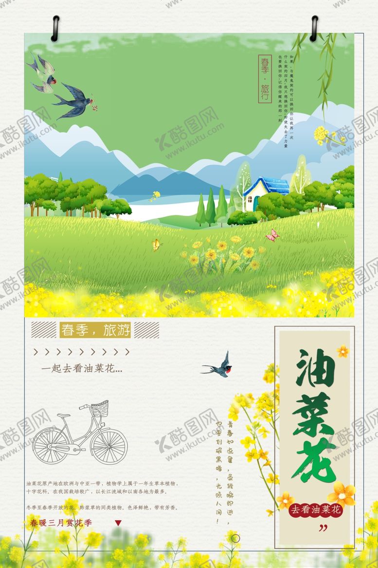 编号：21475309190120279754【酷图网】源文件下载-春天油菜花海报