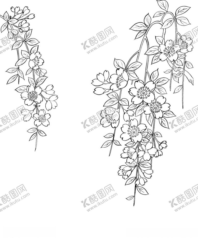 编号：15693610311226418911【酷图网】源文件下载-日本线描植物花卉矢量素材