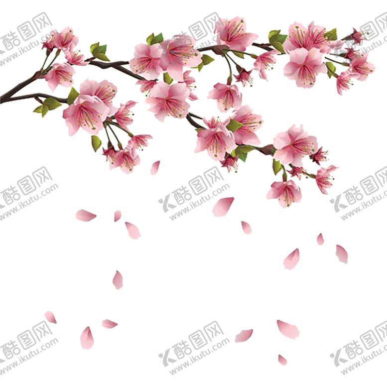 编号：85647411011055036934【酷图网】源文件下载-手绘植物花卉