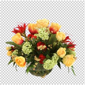 透明底花艺