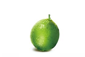 青柠檬