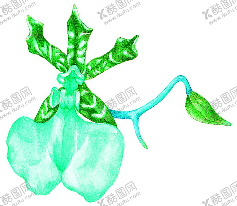 编号：36501409181033182510【酷图网】源文件下载-花素材