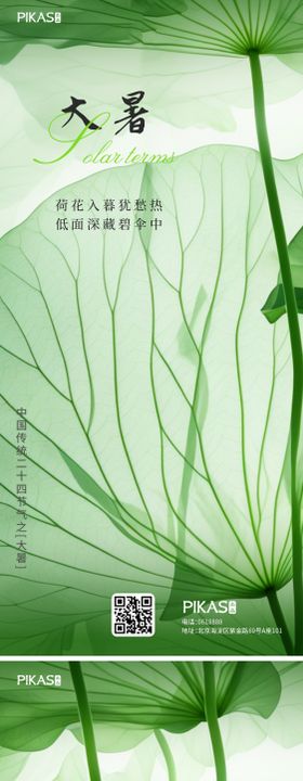 大暑节气海报插画二十四治愈叶子