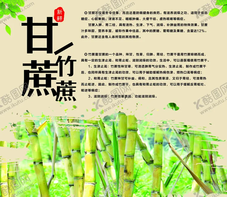 编号：26903101241307143344【酷图网】源文件下载-甘蔗