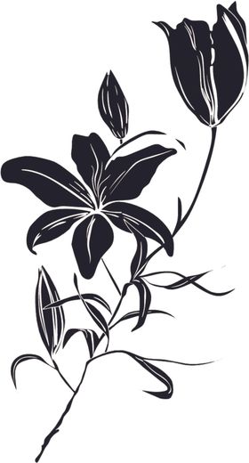 百合花