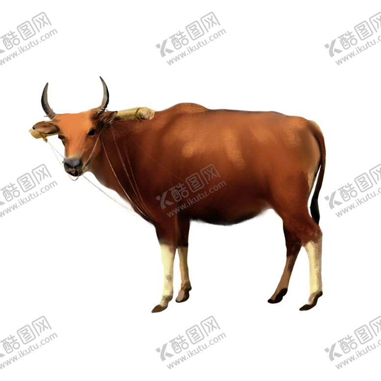 编号：65788402100655381586【酷图网】源文件下载-春分耕牛黄牛