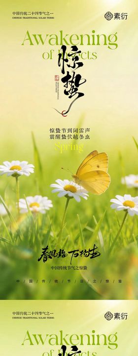 地产惊蛰花朵摄影系列海报